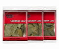 Angel Brand Soursop Leaf Tea – Natural Herbal Wellness Tea (3 Pack)